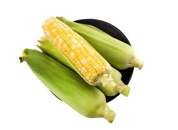 Industri Makanan Dan Minuman Mesin Sinar X AI algoritma pembelajaran mendalam Mengidentifikasi dan menghapus benda asing secara otomatis